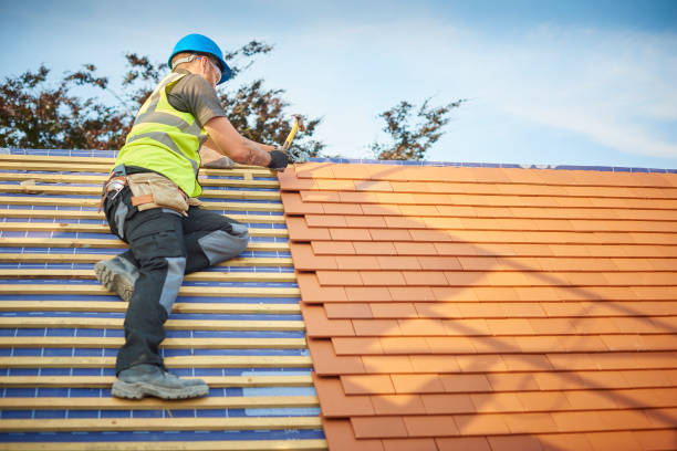 Best Roof Moss and Algae Removal  in Hden Springs, ID